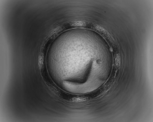 X0000097810739200803201417