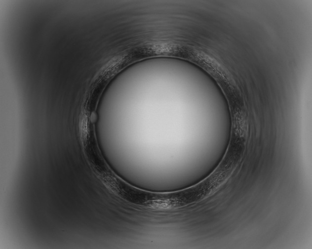 X0000097810740200803201417