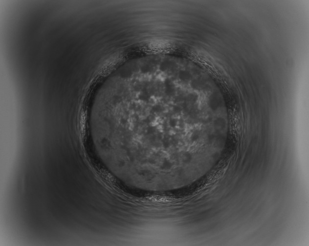 X0000097810742200803201417