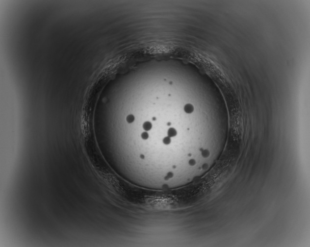 X0000097810743200803201417