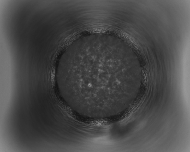 X0000097810745200803201417