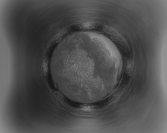 X0000097810746200803201417