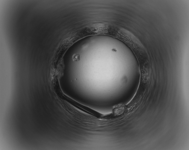 X0000097810748200803201417