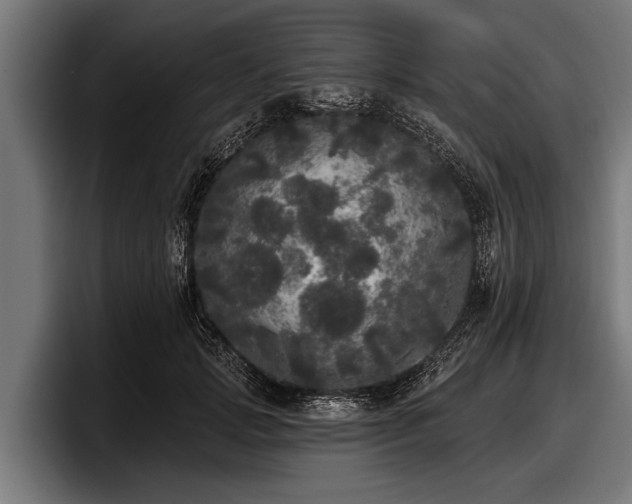 X0000097810749200803201417