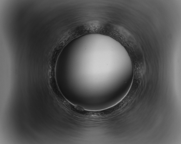 X0000097810750200803201417