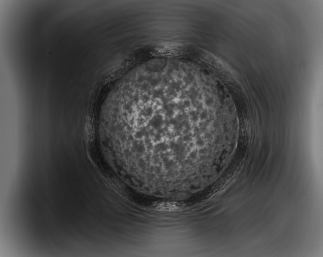 X0000097810751200803201417
