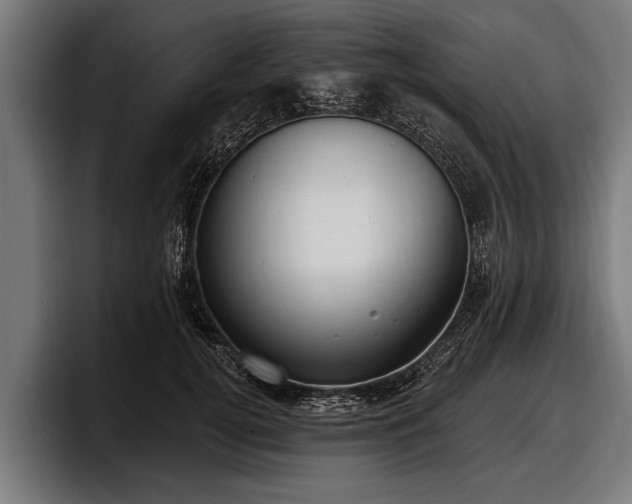 X0000097810752200803201417