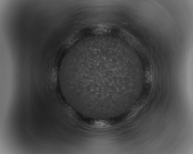 X0000097810753200803201417