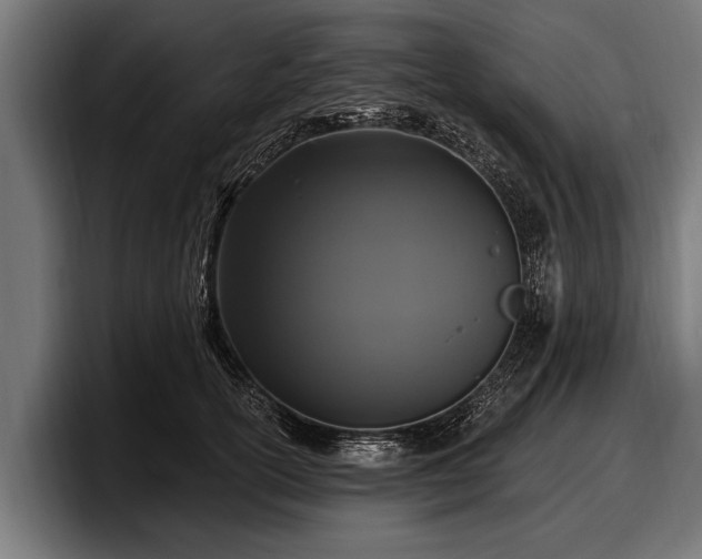 X0000097810754200803201417