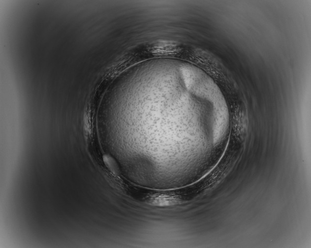 X0000097810755200803201417