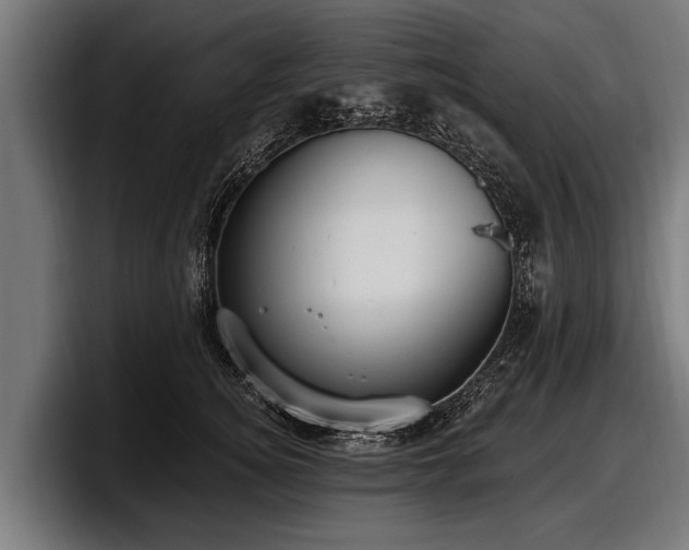 X0000097810756200803201417