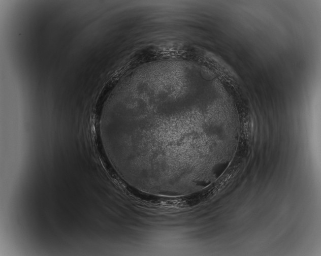 X0000097810757200803201417