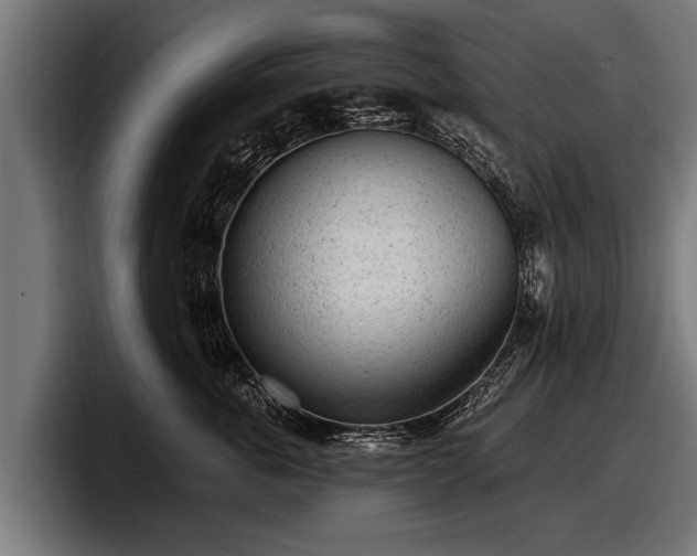 X0000097810763200803201417