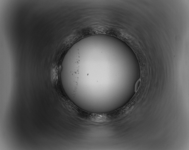 X0000097810768200803201417