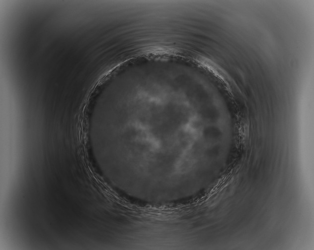 X0000097810775200803201417