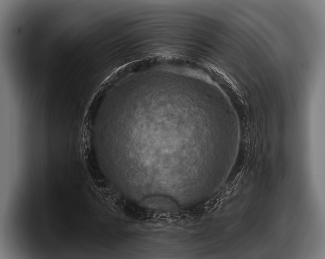 X0000097810776200803201417