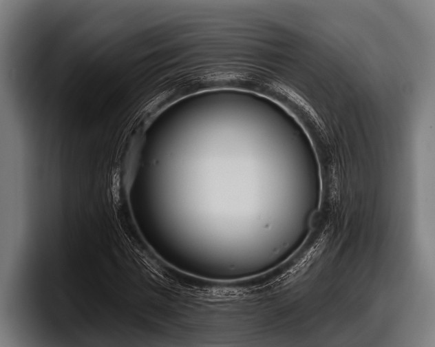 X0000097810777200803201417