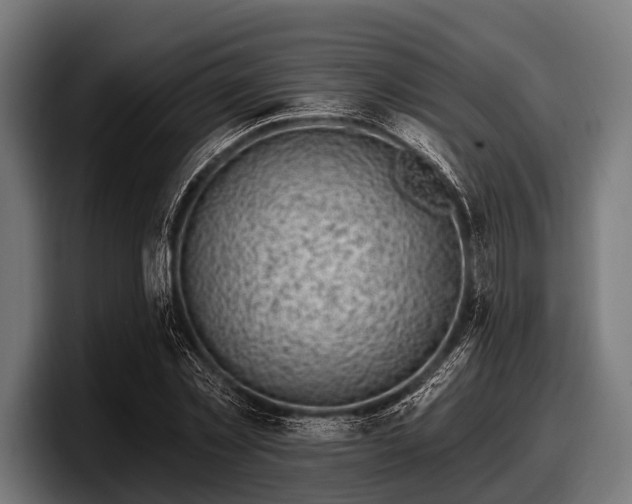 X0000097810781200803201417