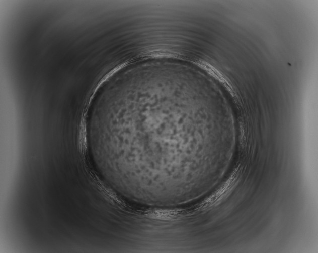 X0000097810782200803201416