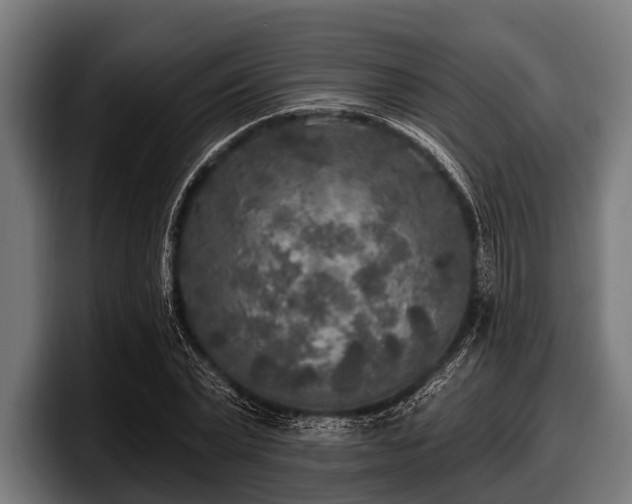 X0000097810783200803201416