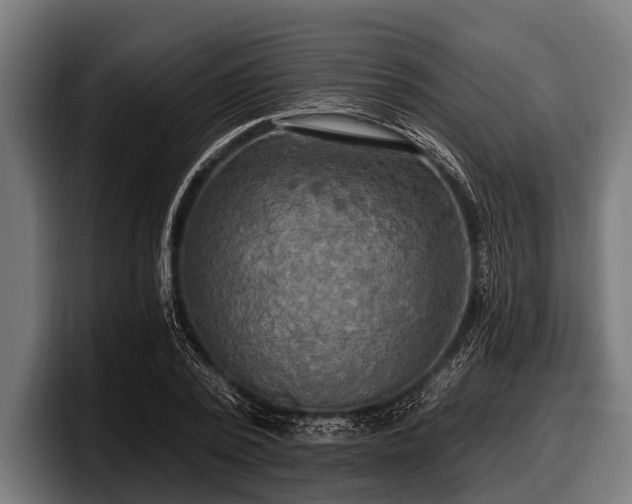 X0000097810784200803201416