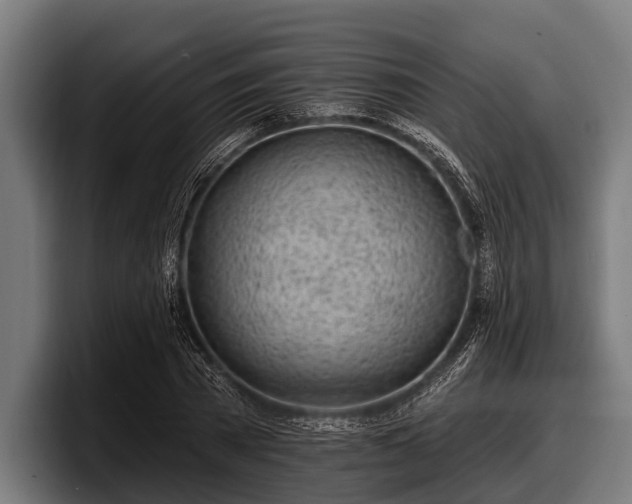 X0000097810785200803201416