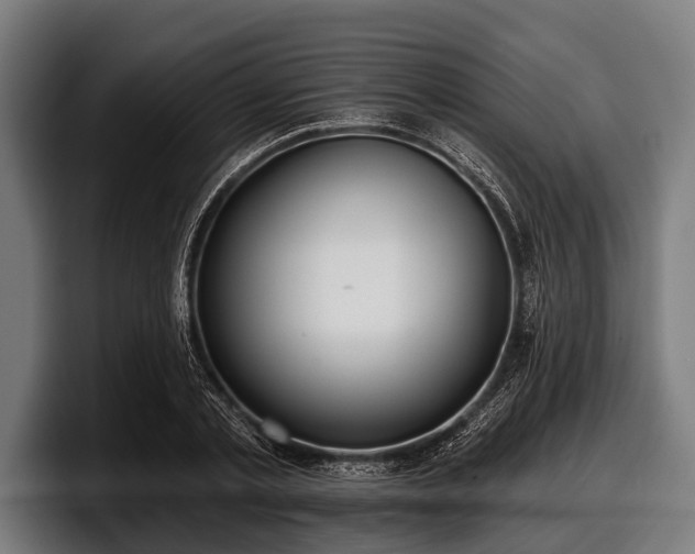 X0000097810789200803201416