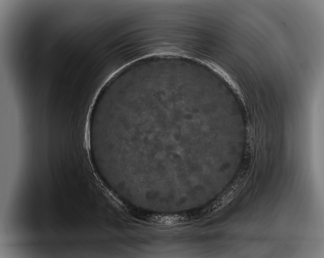 X0000097810791200803201416