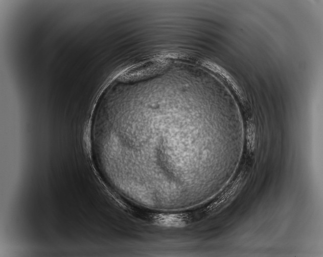 X0000097810794200803201416