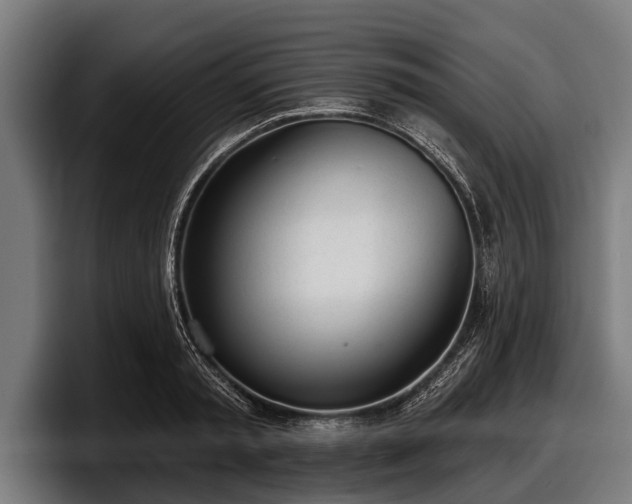 X0000097810797200803201416