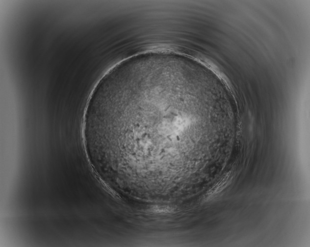 X0000097810799200803201416