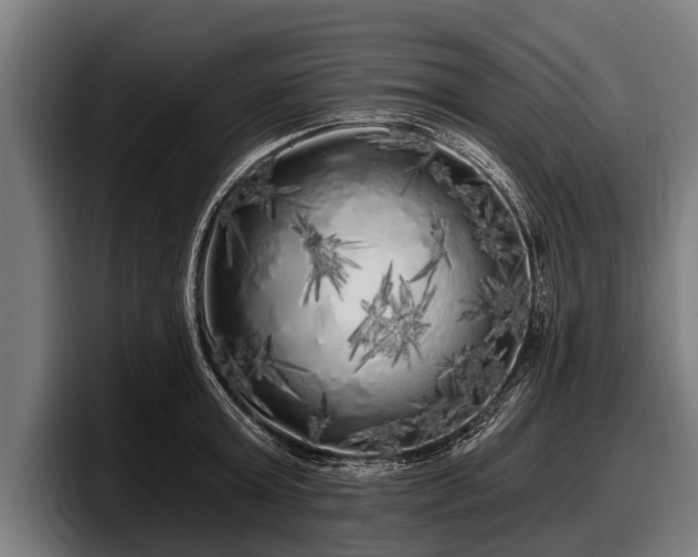 X0000097810803200803201416