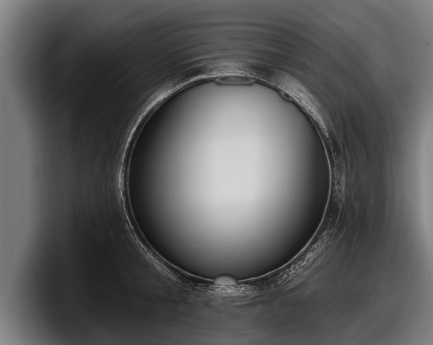 X0000097810805200803201416