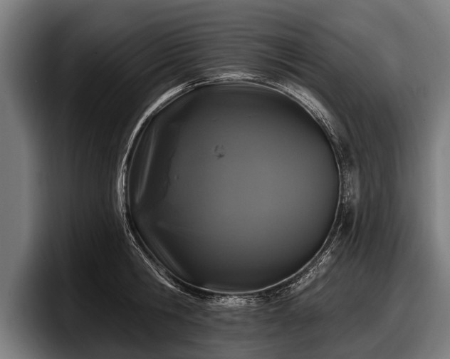 X0000097810806200803201416