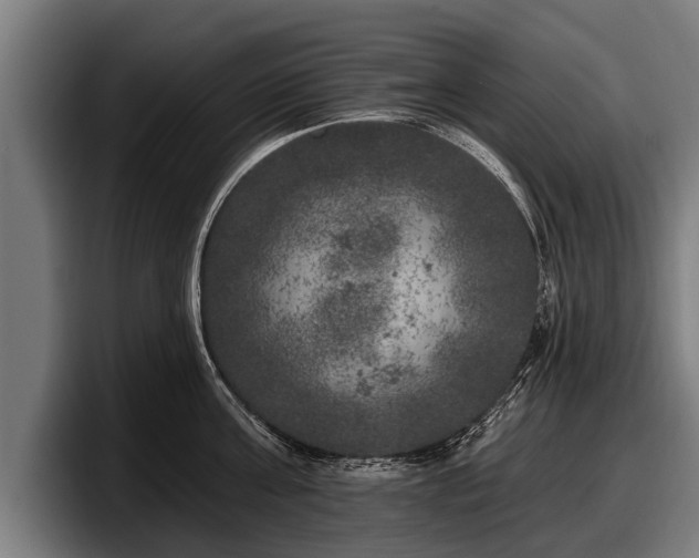 X0000097810811200803201416