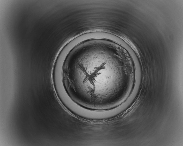 X0000097810813200803201416