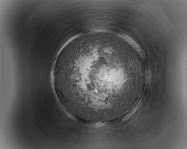 X0000097810814200803201416