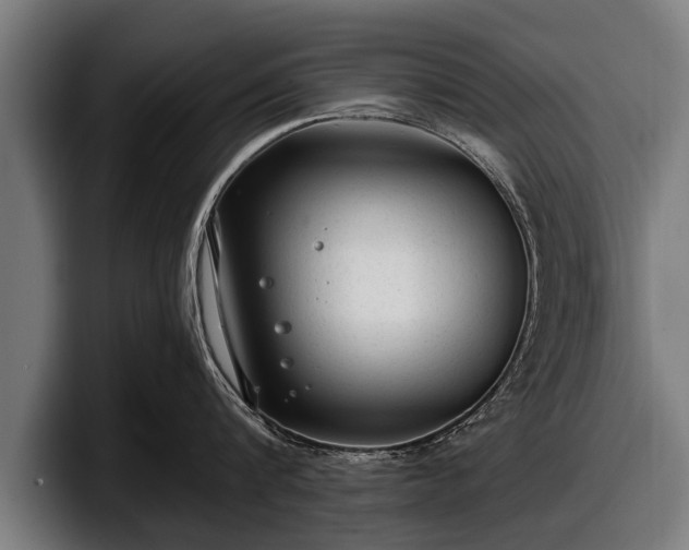 X0000097810816200803201416