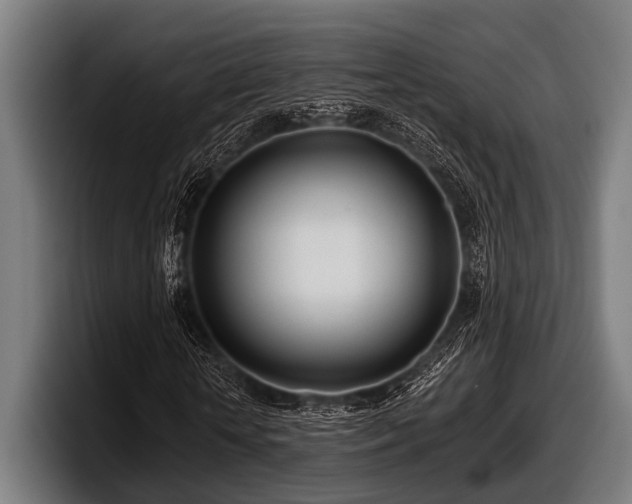 X0000097810818200803201415