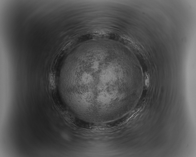 X0000097810819200803201415