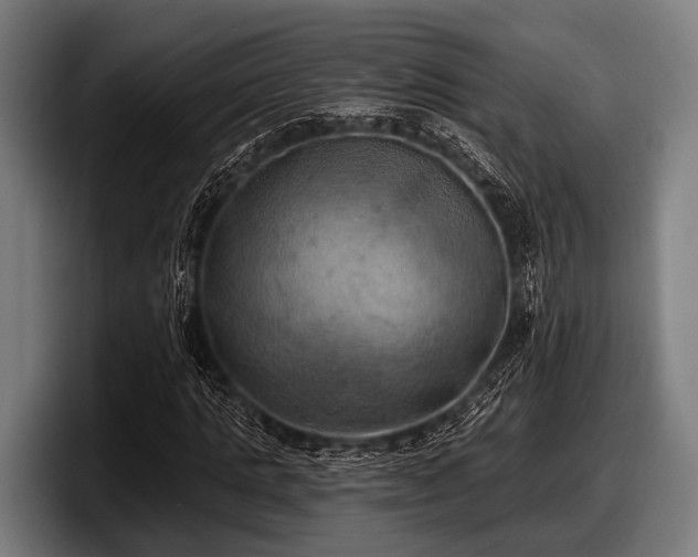 X0000097810821200803201415