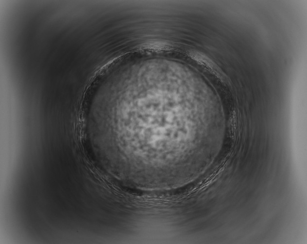 X0000097810822200803201415