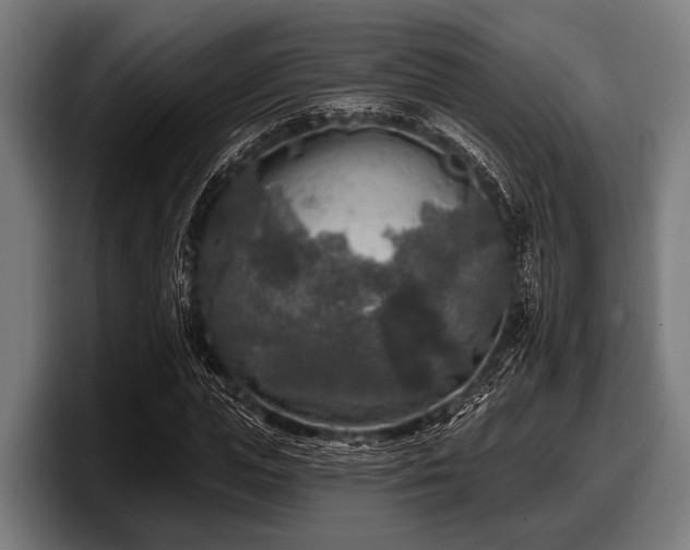 X0000097810823200803201416