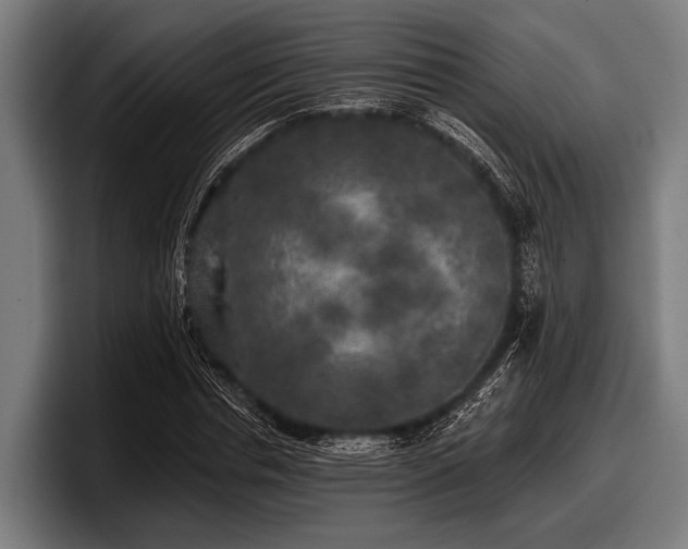 X0000097810826200803201416