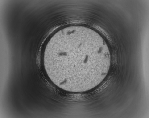 X0000097810828200803201416
