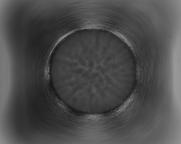 X0000097810830200803201416