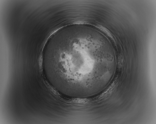 X0000097810831200803201416