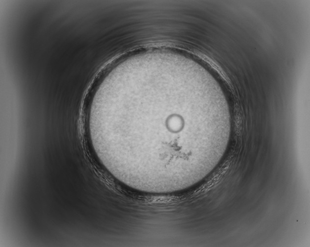 X0000097810832200803201416