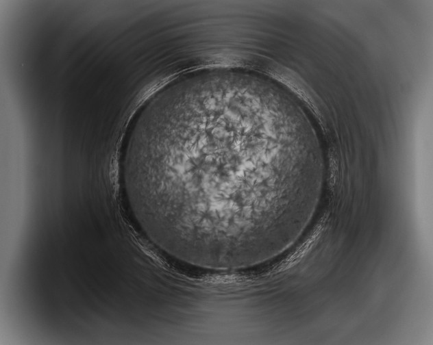 X0000097810834200803201416