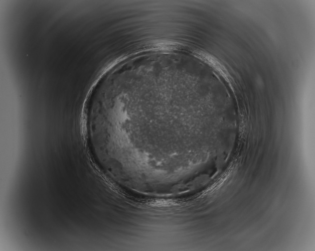 X0000097810835200803201416